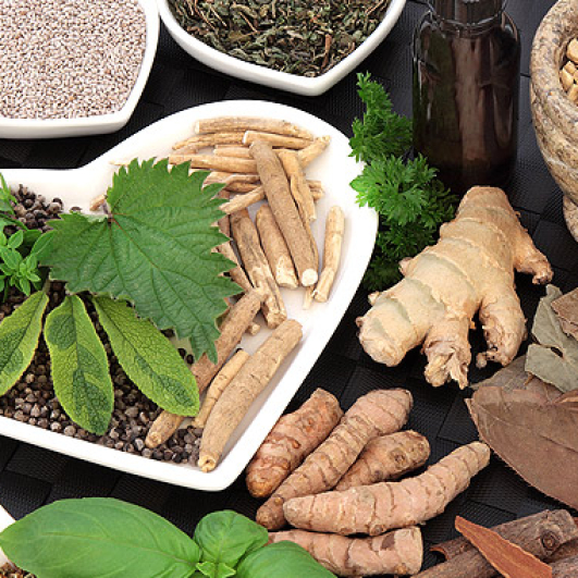 adaptogens